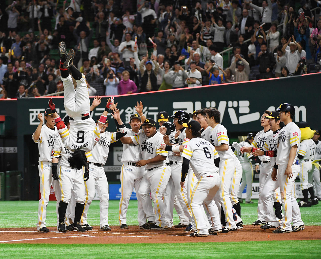 ソフトバンク対オリックス　10回裏ソフトバンク無死二、三塁、明石はサヨナラ3点本塁打を放ち、待ちかまえるナインの前でバック宙して生還する（19年4月25日撮影）