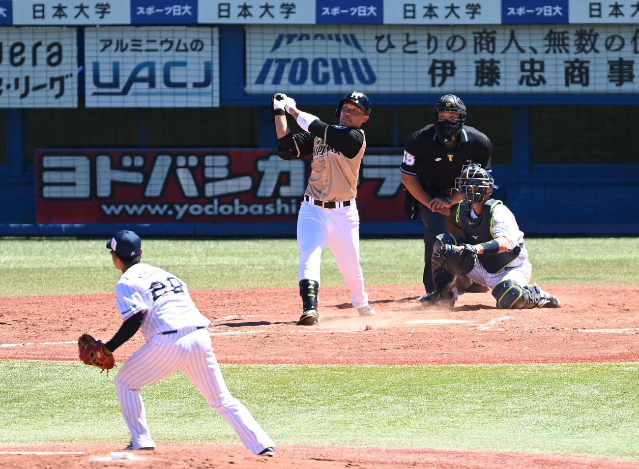 ヤクルト対日本ハム　3回裏日本ハム1死一、二塁、右前適時打を放つ王。投手吉田喜（撮影・鈴木みどり）