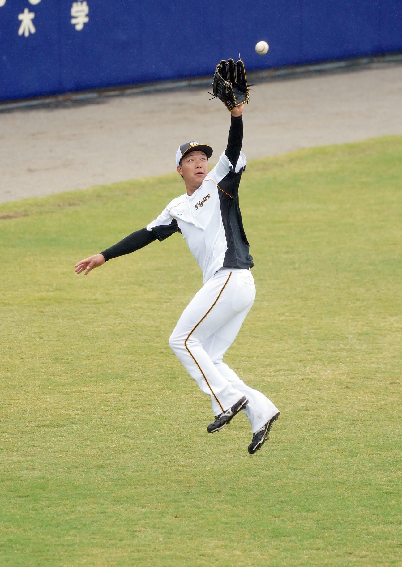 中日戦が中止となり、雨の中で外野ノックを受ける大山（撮影・森本幸一）