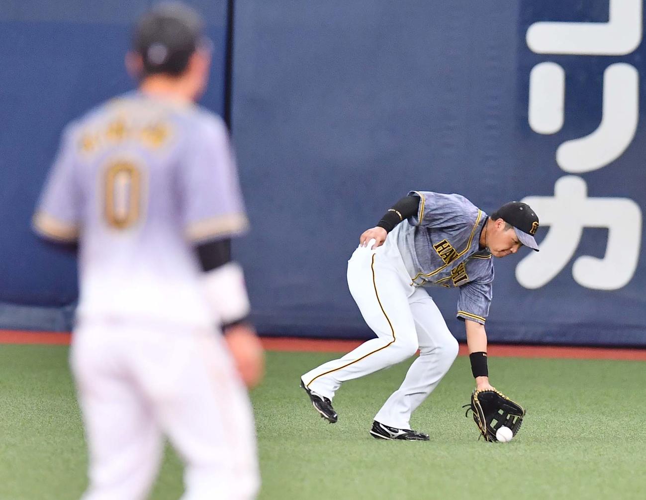 オリックス対阪神　6回裏オリックス1死一、二塁、安達了一の右前安打を処理する大山悠輔（撮影・上田博志）