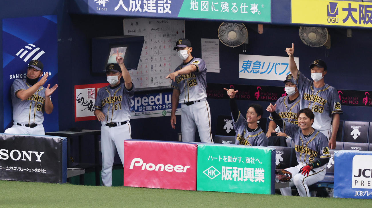 練習試合　オリックス対阪神　6回表阪神2死三塁、先制適時二塁打を放ったジェフリー・マルテに笑顔をみせる阪神ベンチ（撮影・清水貴仁）