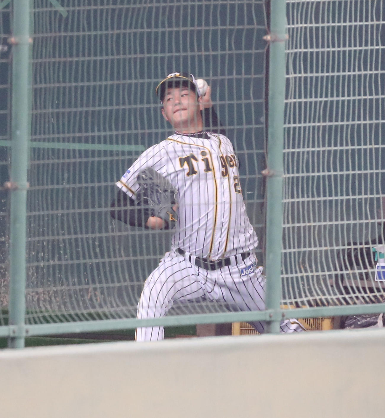 ブルペンで投球練習を行う阪神高橋（撮影・前田充）