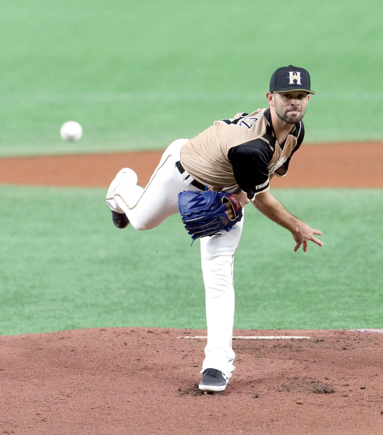 巨人対日本ハム　5回2失点だった日本ハム先発のマルティネス（撮影・佐藤翔太）