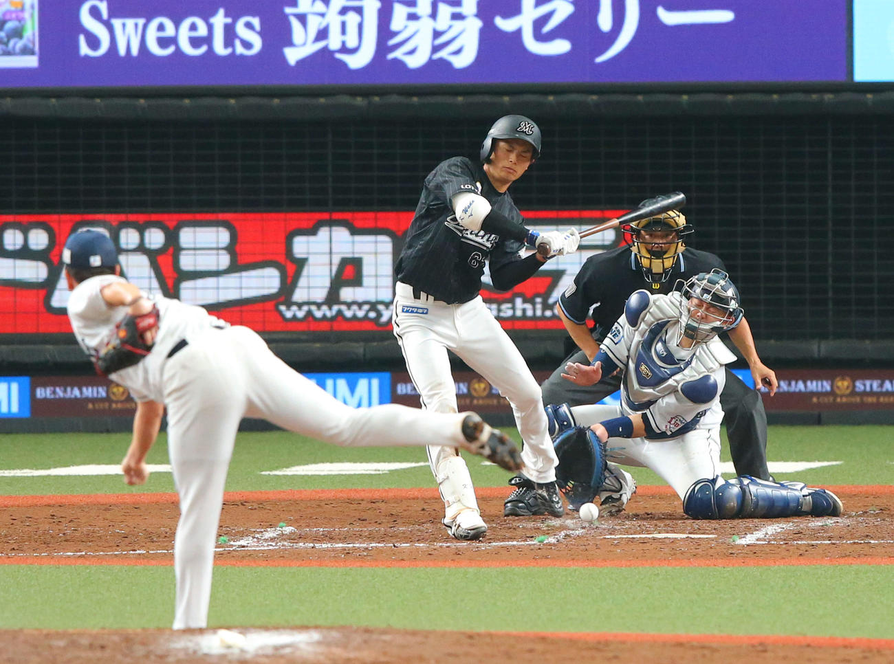 西武対ロッテ　8回表ロッテ1死、左足に死球を受ける和田（撮影・河田真司）　