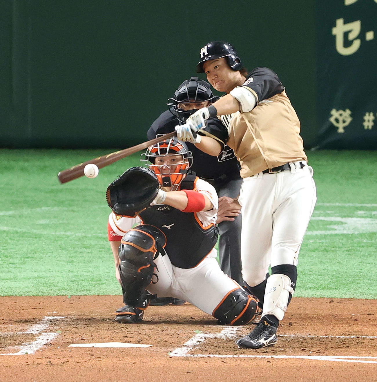 巨人対日本ハム　2回表日本ハム1死、中前打を放つ渡辺（撮影・江口和貴）