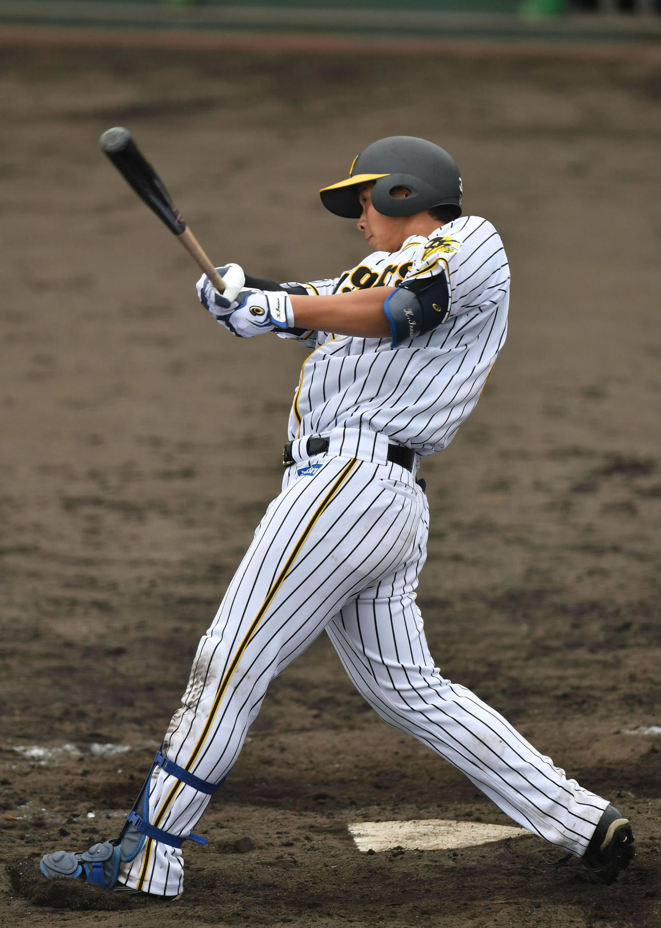 5回裏阪神2死、井上は中越えにソロ本塁打を放つ