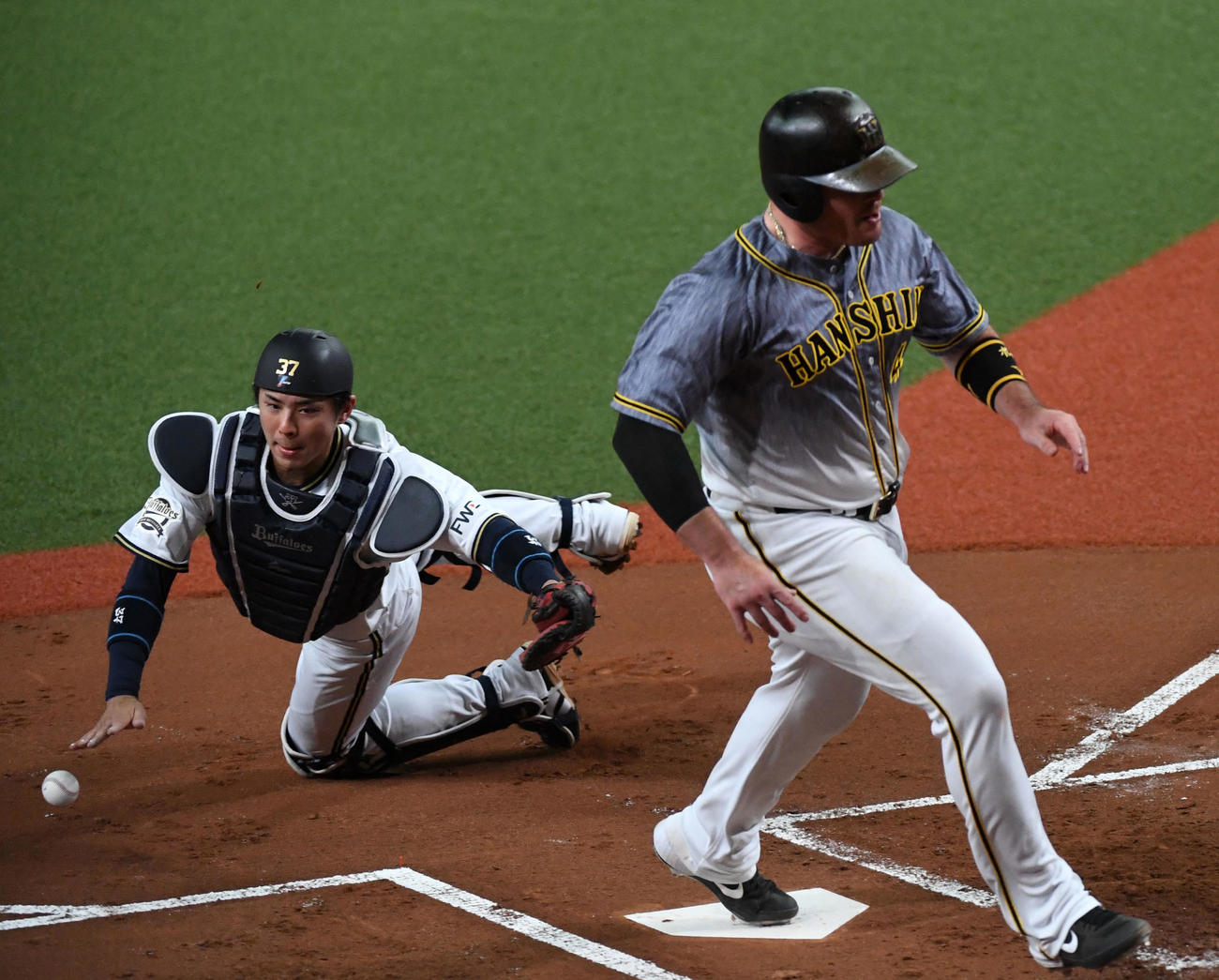 練習試合オリックス対阪神　1回表阪神1死二、三塁、糸原健斗の左犠飛で生還するジャスティン・ボーア（撮影・前岡正明）