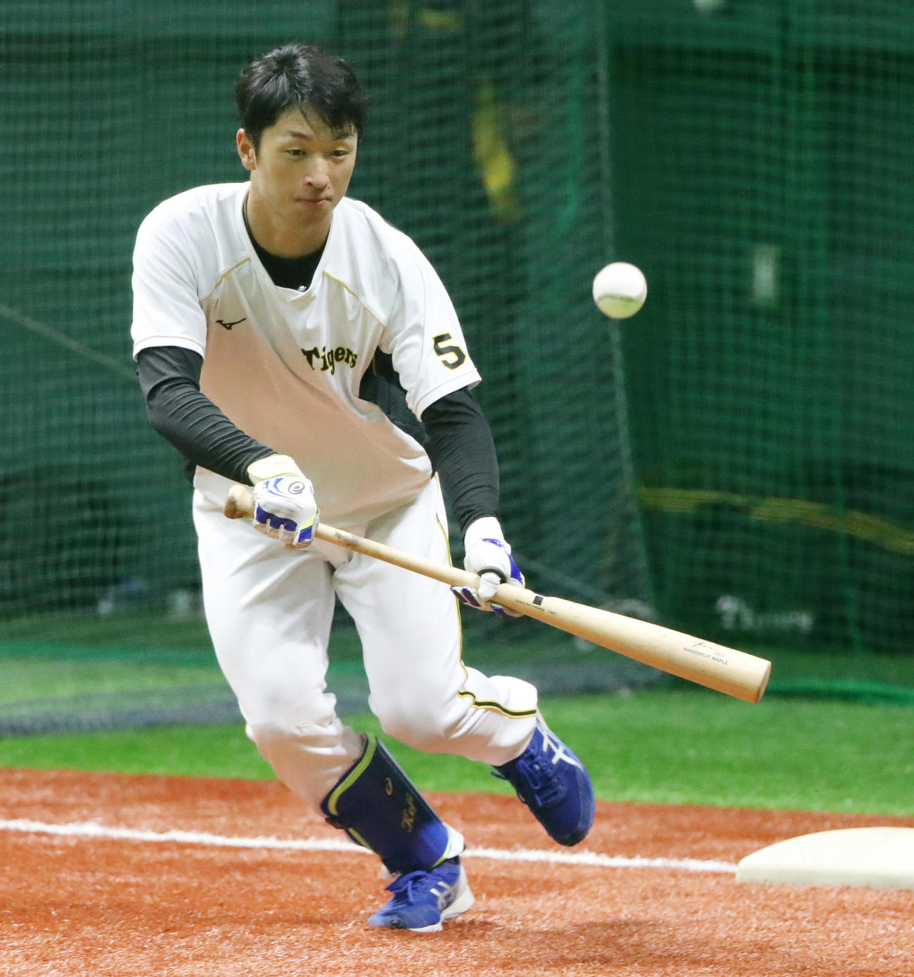 セーフティバントの練習を行う阪神近本光司（2020年6月11日撮影）
