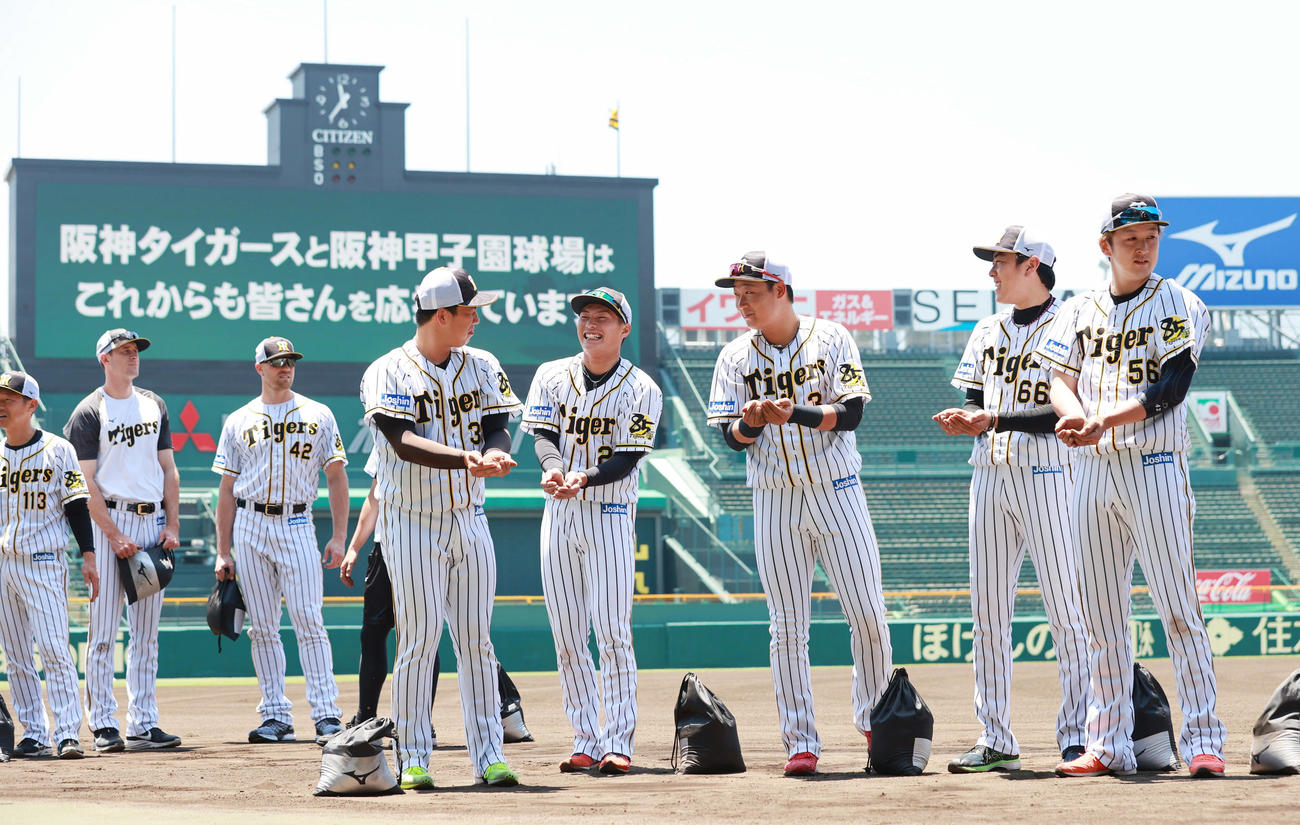 練習開始を前に土を集める北條史也（右から4人目）ら阪神の選手たち（撮影・清水貴仁）
