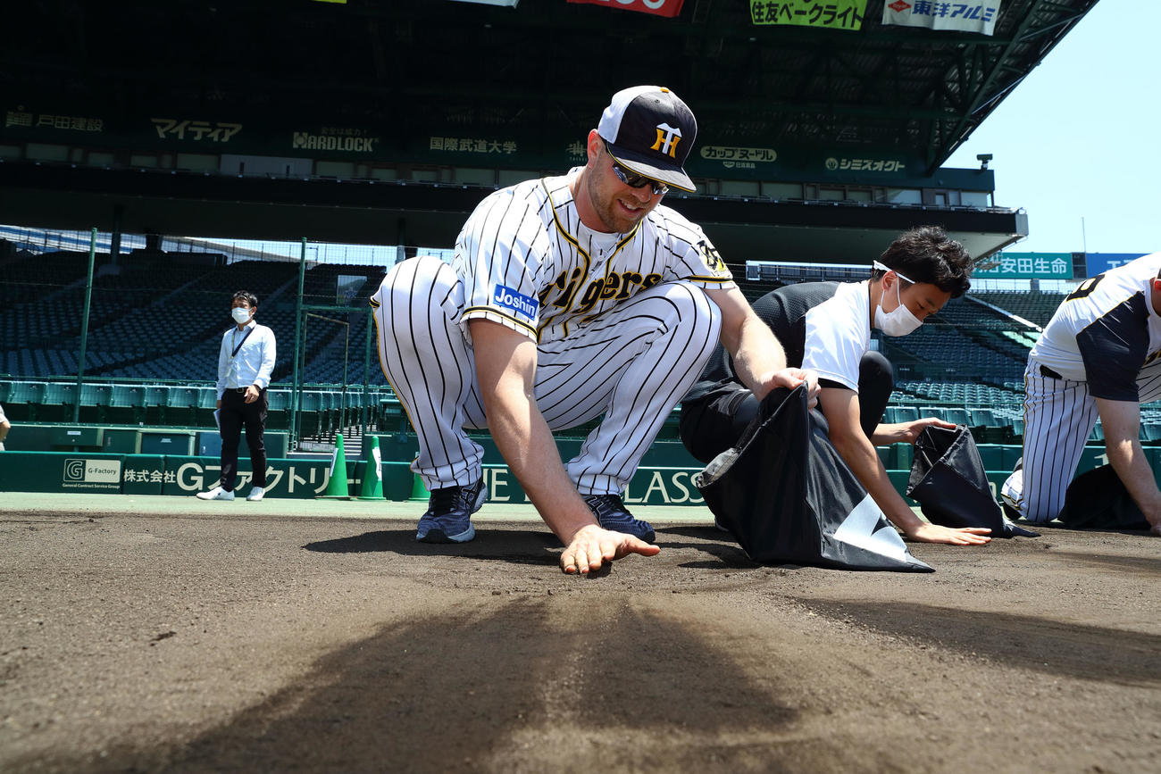 甲子園の土を集めるナインと首脳陣（球団提供）
