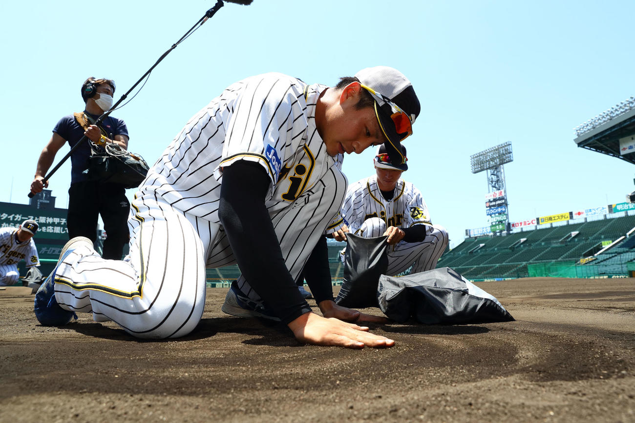 甲子園の土を集めるナインと首脳陣（球団提供）