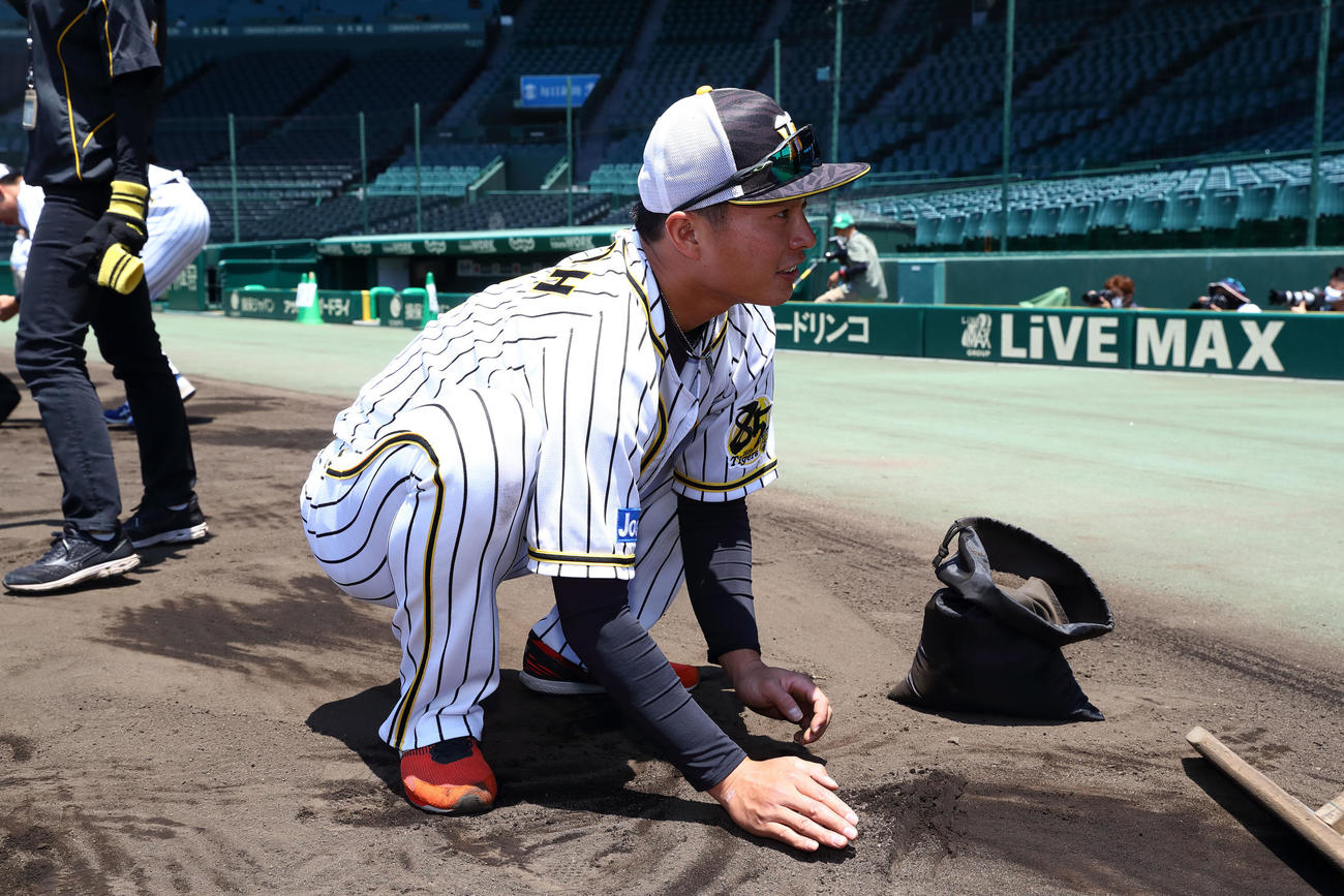 甲子園の土を集めるナインと首脳陣（球団提供）