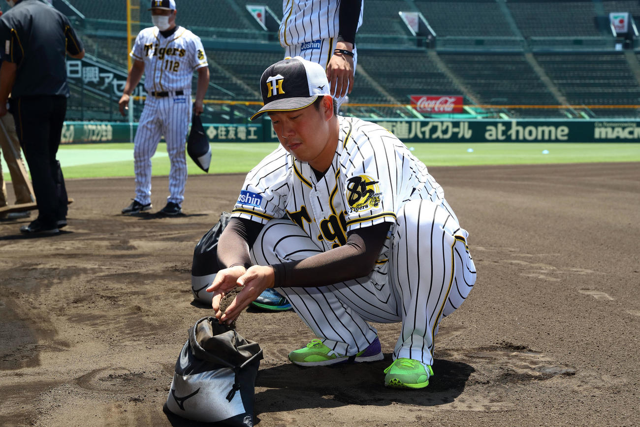 甲子園の土を集めるナインと首脳陣（球団提供）