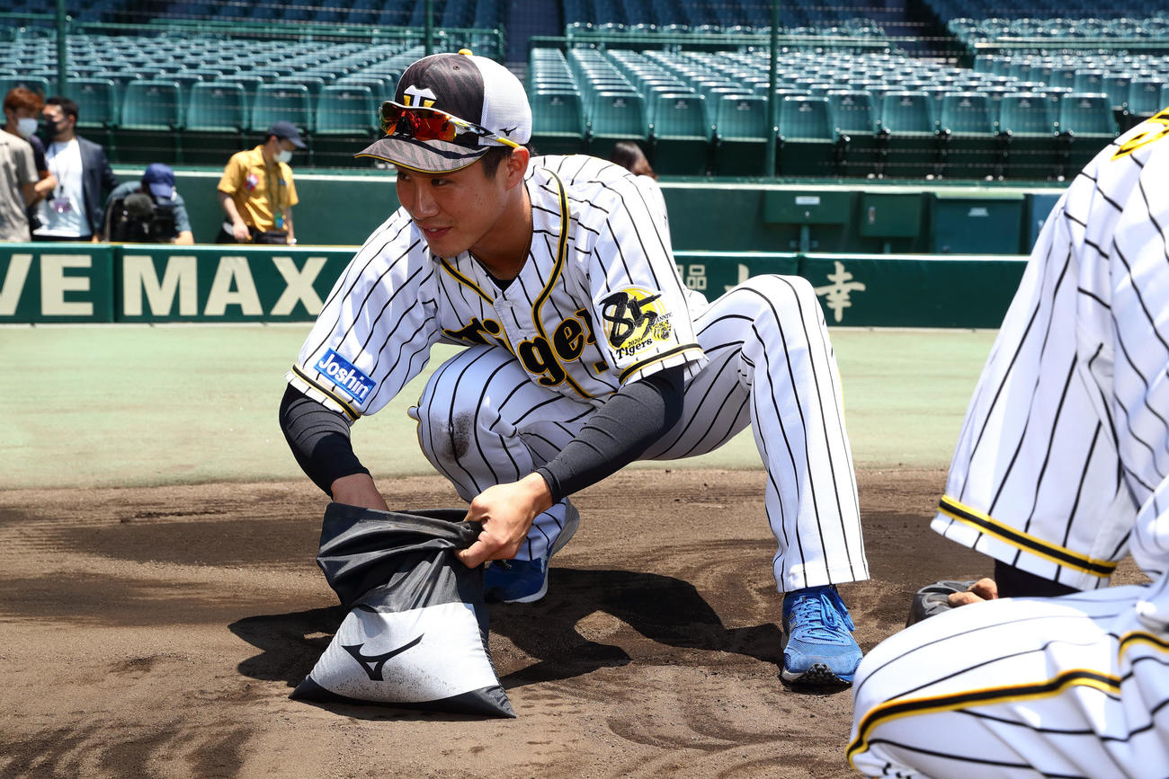 甲子園の土を集めるナインと首脳陣（球団提供）