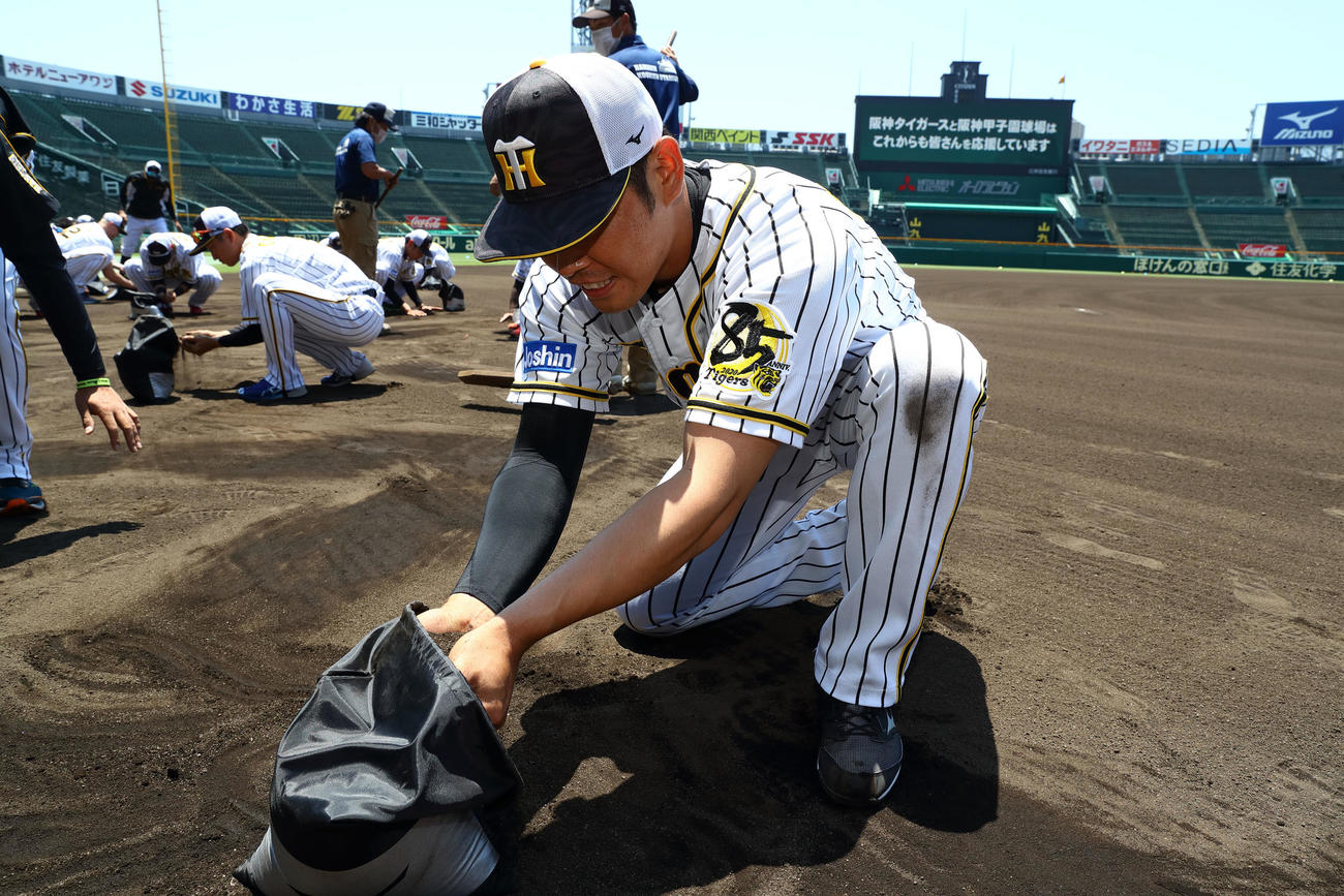 甲子園の土を集めるナインと首脳陣（球団提供）
