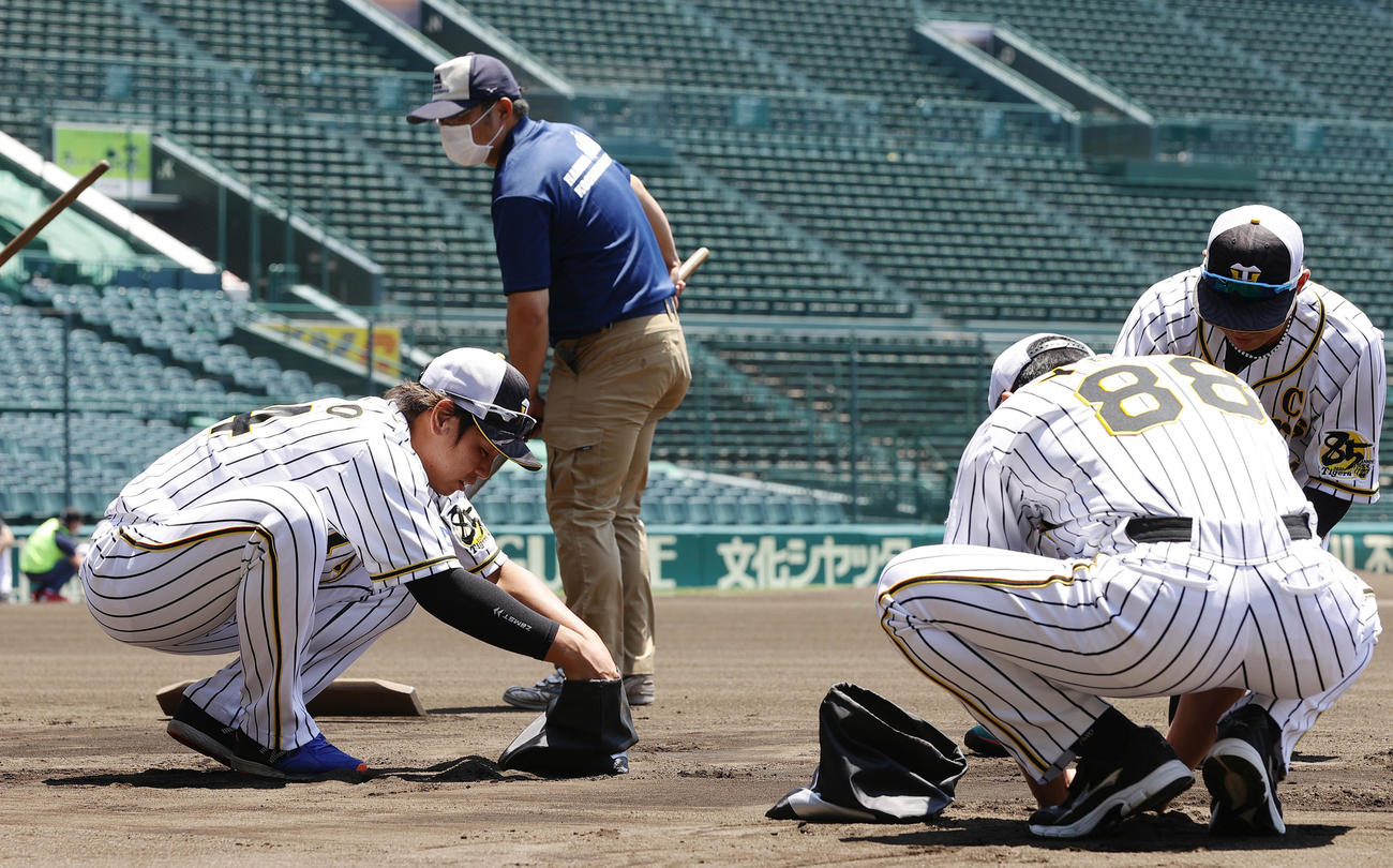 練習開始を前に土を集める梅野隆太郎（左）、矢野耀大監督（右手前）ら阪神の選手たち