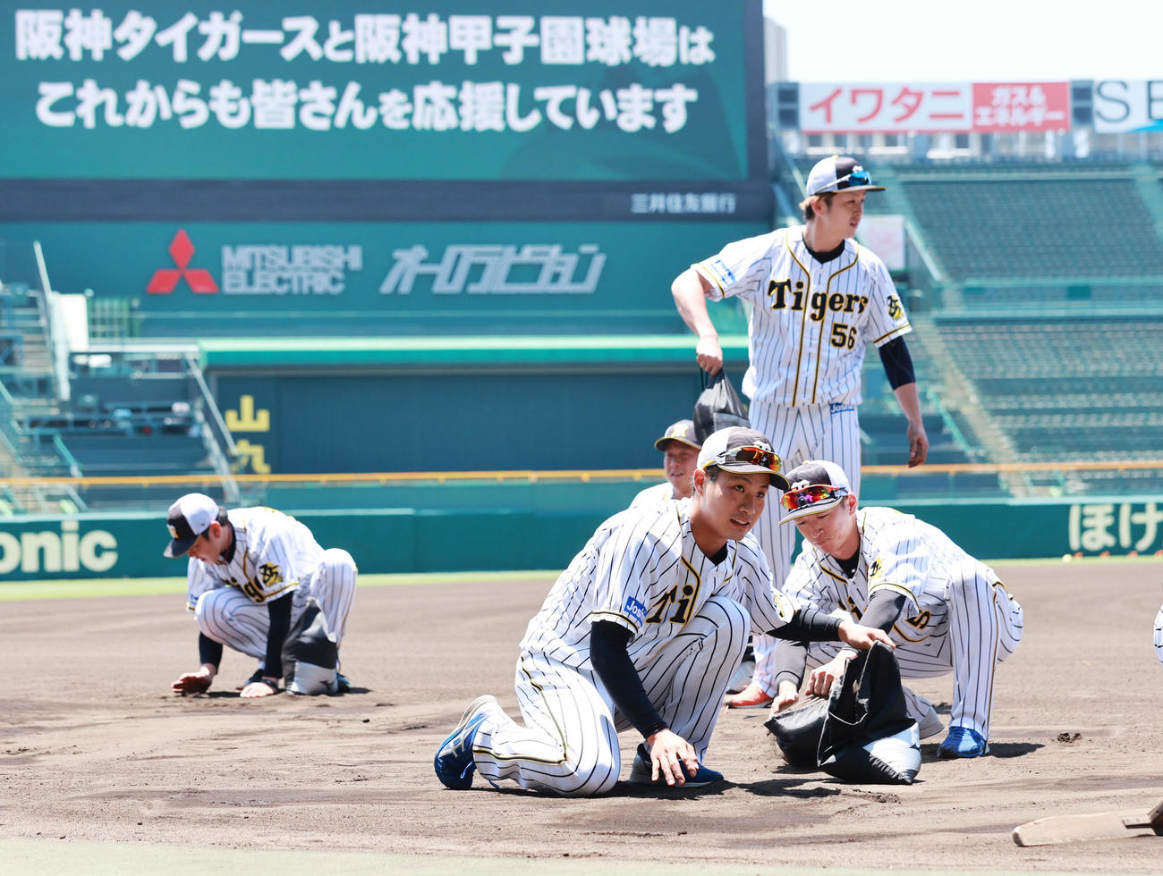 練習開始を前に土を集める木浪聖也ら阪神の選手たち（撮影・清水貴仁）