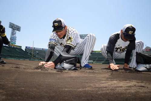 甲子園の土を集める阪神ナイン（球団提供）