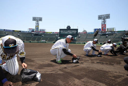 甲子園の土を集める阪神ナイン（球団提供）
