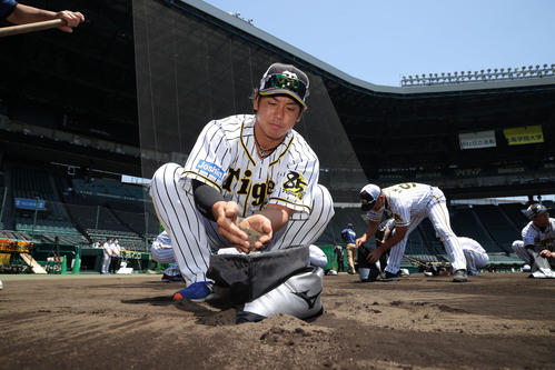 甲子園の土を集める阪神ナイン（球団提供）