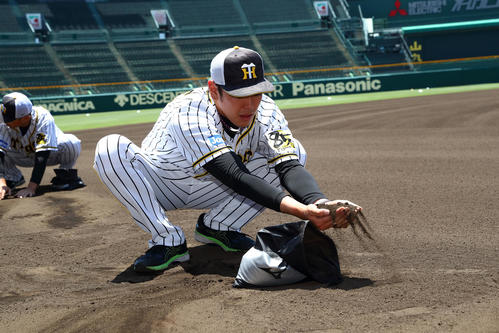 甲子園の土を集めるナインと首脳陣（球団提供）