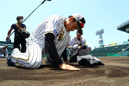 甲子園の土を集めるナインと首脳陣（球団提供）