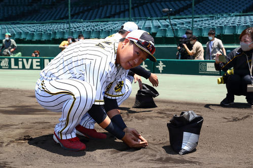 甲子園の土を集めるナインと首脳陣（球団提供）