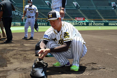 甲子園の土を集めるナインと首脳陣（球団提供）