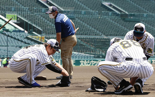練習開始を前に土を集める梅野隆太郎（左）、矢野耀大監督（右手前）ら阪神の選手たち