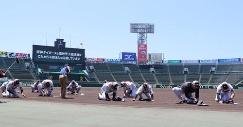 練習開始を前に土を集める阪神の選手たち（撮影・清水貴仁）