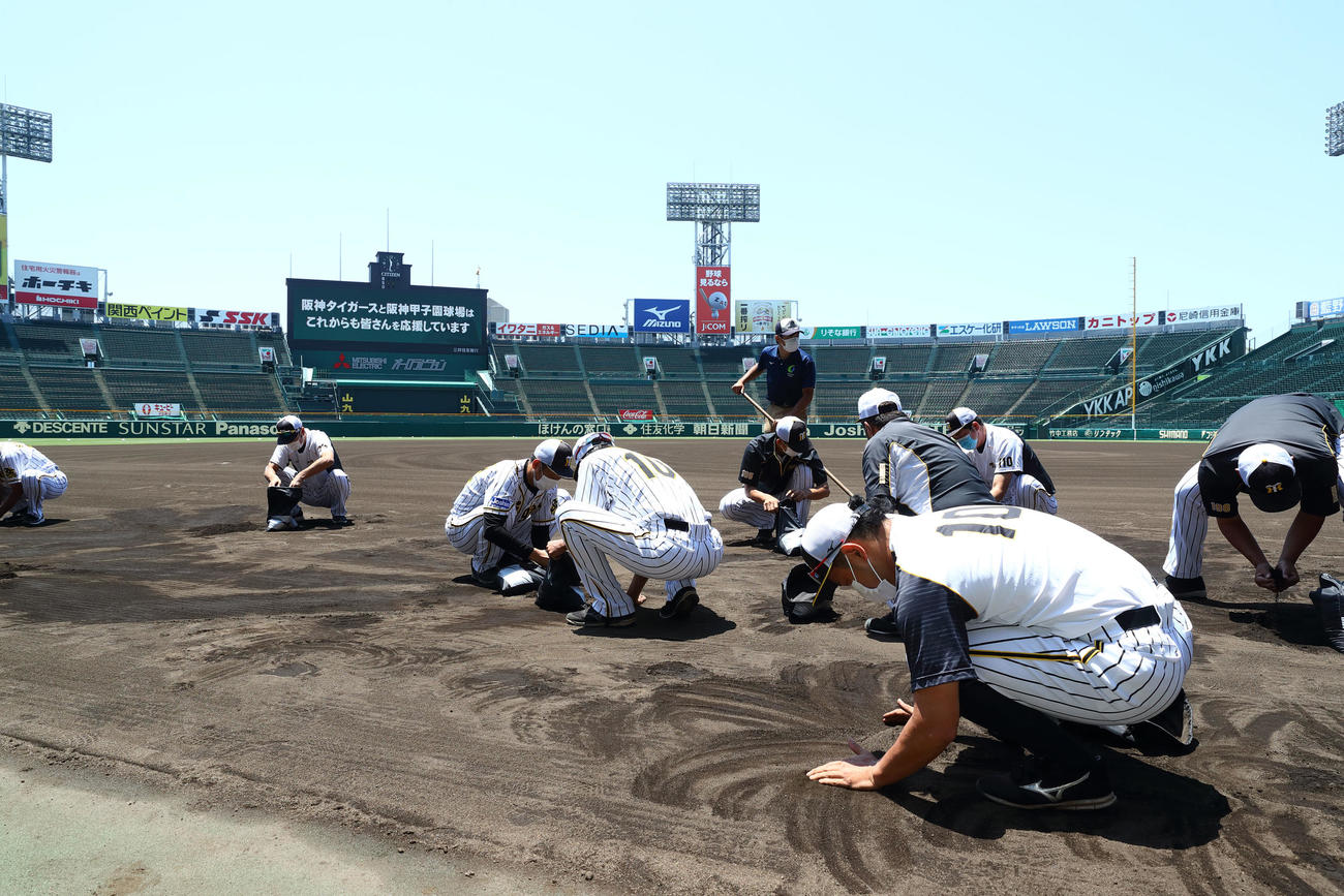 阪神球団提供　甲子園の土を集めるナインと首脳陣（球団提供）