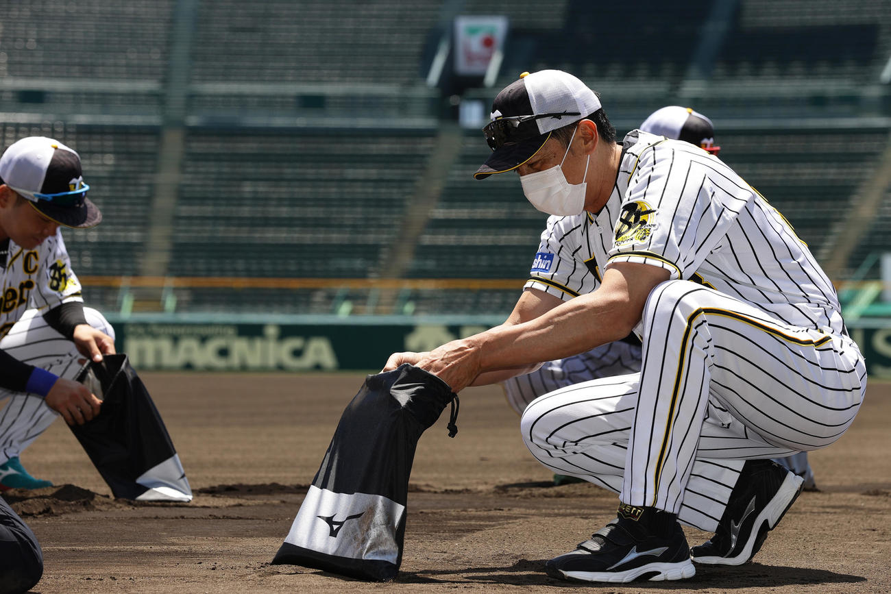 練習開始を前に土を集める阪神矢野監督