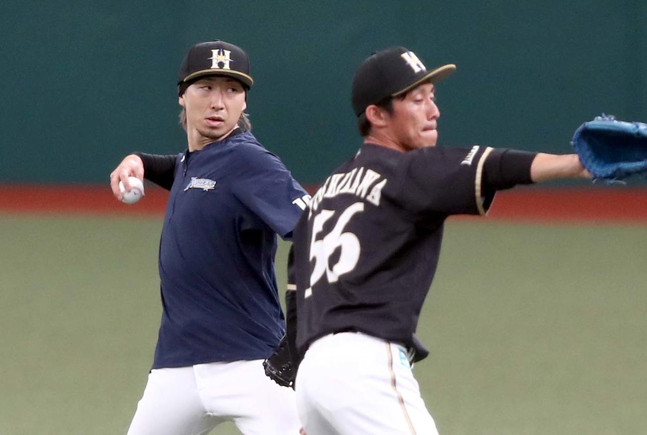キャッチボールする日本ハム金子（左）と吉川（撮影・黒川智章）