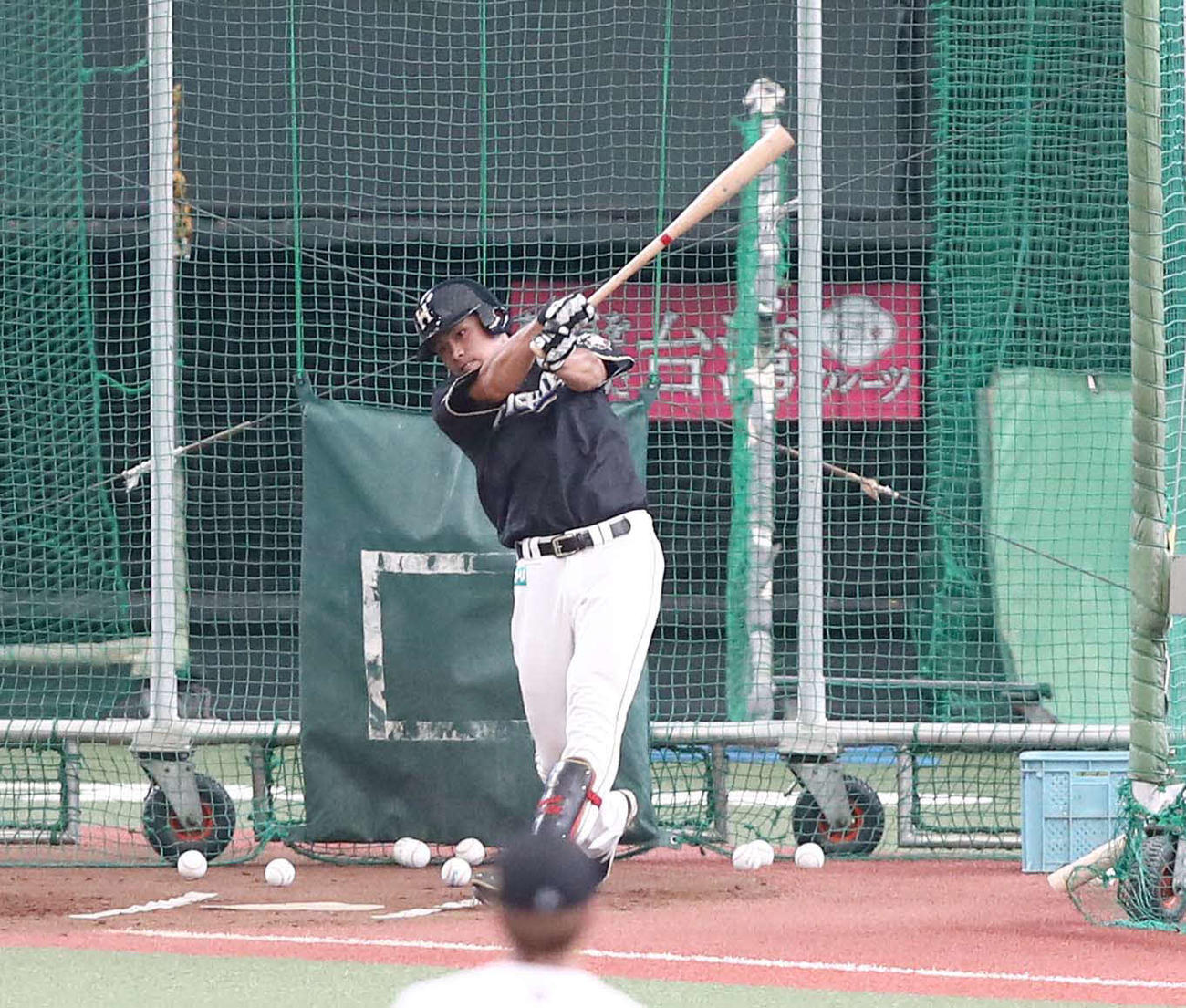 フリー打撃に汗を流す野村（撮影・黒川智章）