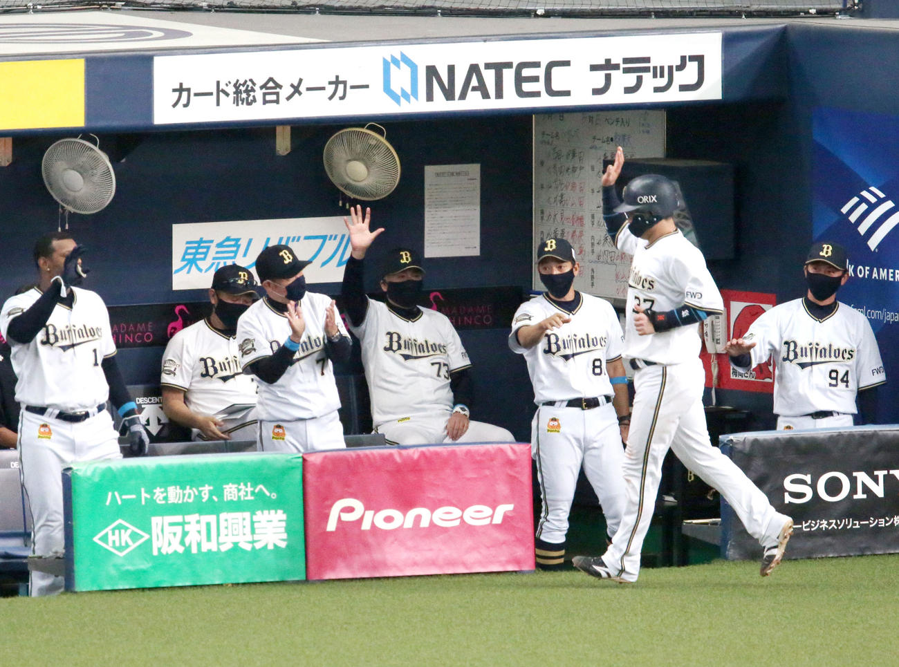 T－岡田の中犠飛で生還の若月（手前）を拍手で出迎える西村監督（左から3人目）（撮影・上山淳一）
