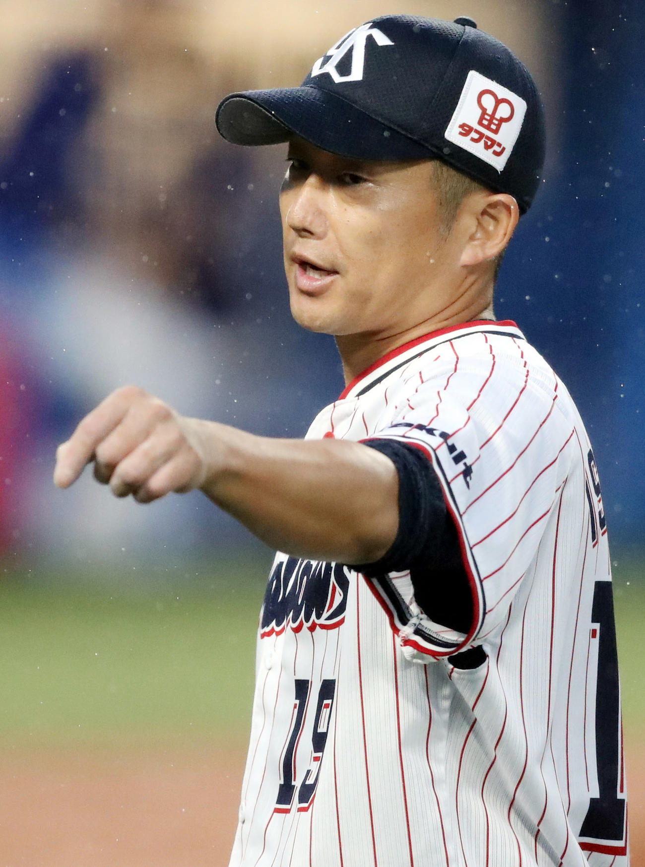 ヤクルト対中日　2回表を終え、チームメートを称えるヤクルト先発の石川（撮影・狩俣裕三）