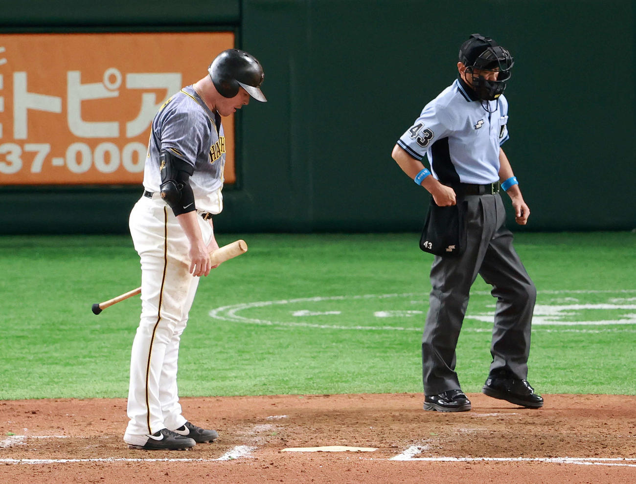 巨人対阪神　7回表阪神2死満塁、見逃しの三振に倒れホームベースを見つめるボーア（撮影・江口和貴）