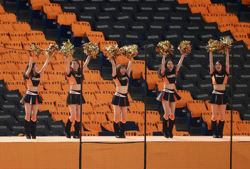 巨人対阪神　4回裏、得点で喜ぶ巨人マスコットガールの「ヴィーナス」（撮影・江口和貴）