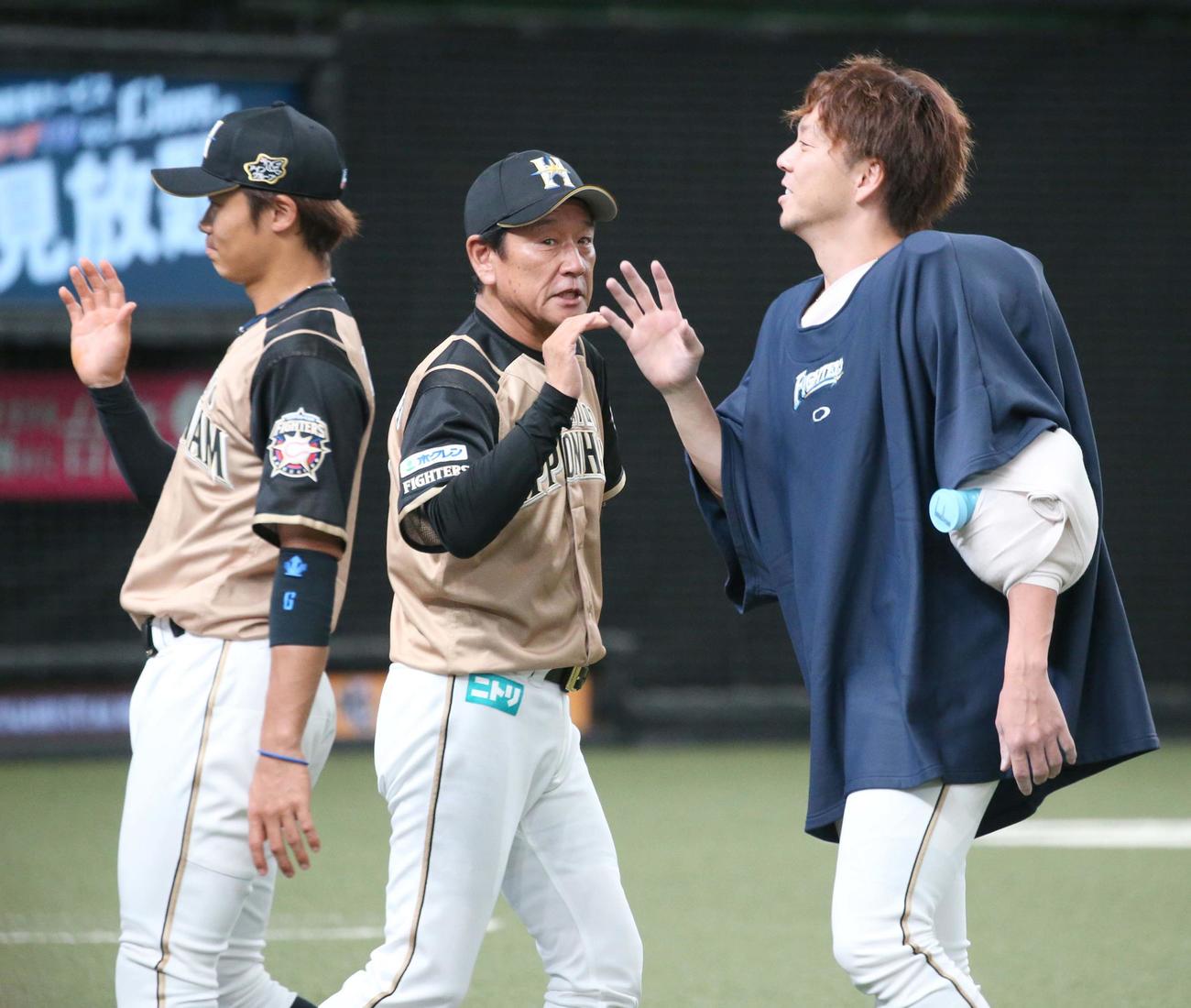 西武対日本ハム　試合後、ナインを出迎える栗山監督（撮影・黒川智章）