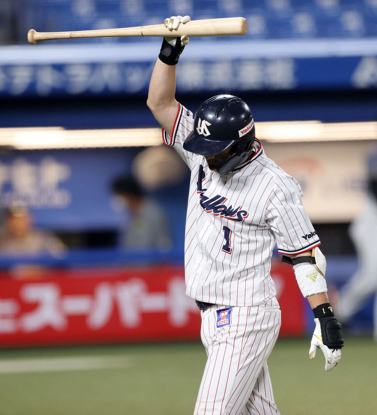 ヤクルト対阪神　6回裏ヤクルト2死、山田哲は空三振に倒れバットを振り上げ悔しがる（撮影・鈴木正人）