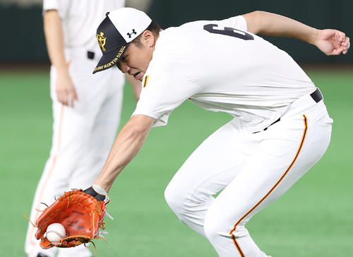 巨人対広島　試合前練習でノックにくらいつく巨人坂本（撮影・垰建太）