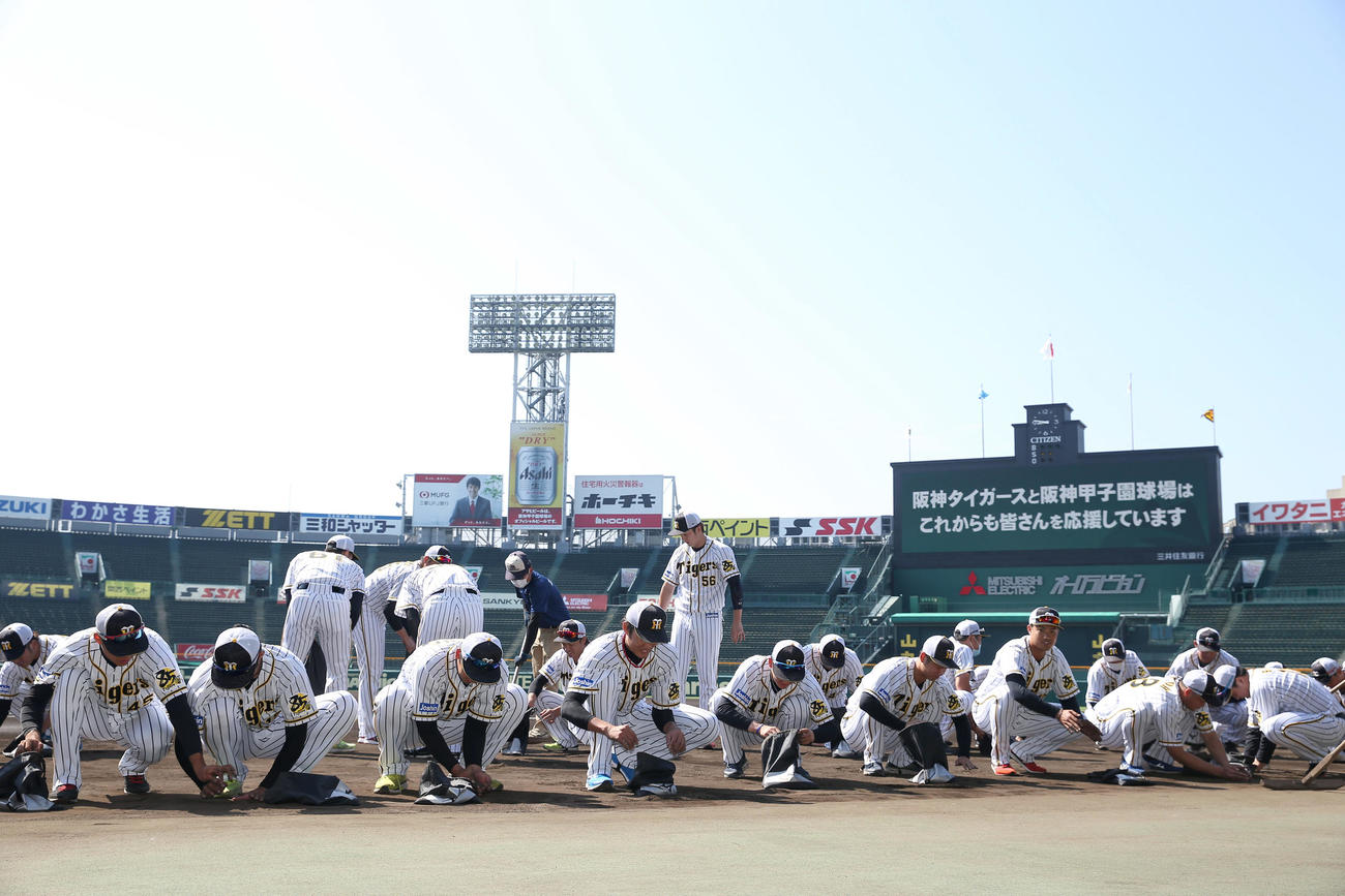 甲子園の土を集める阪神2軍の選手たち（撮影・前田充）