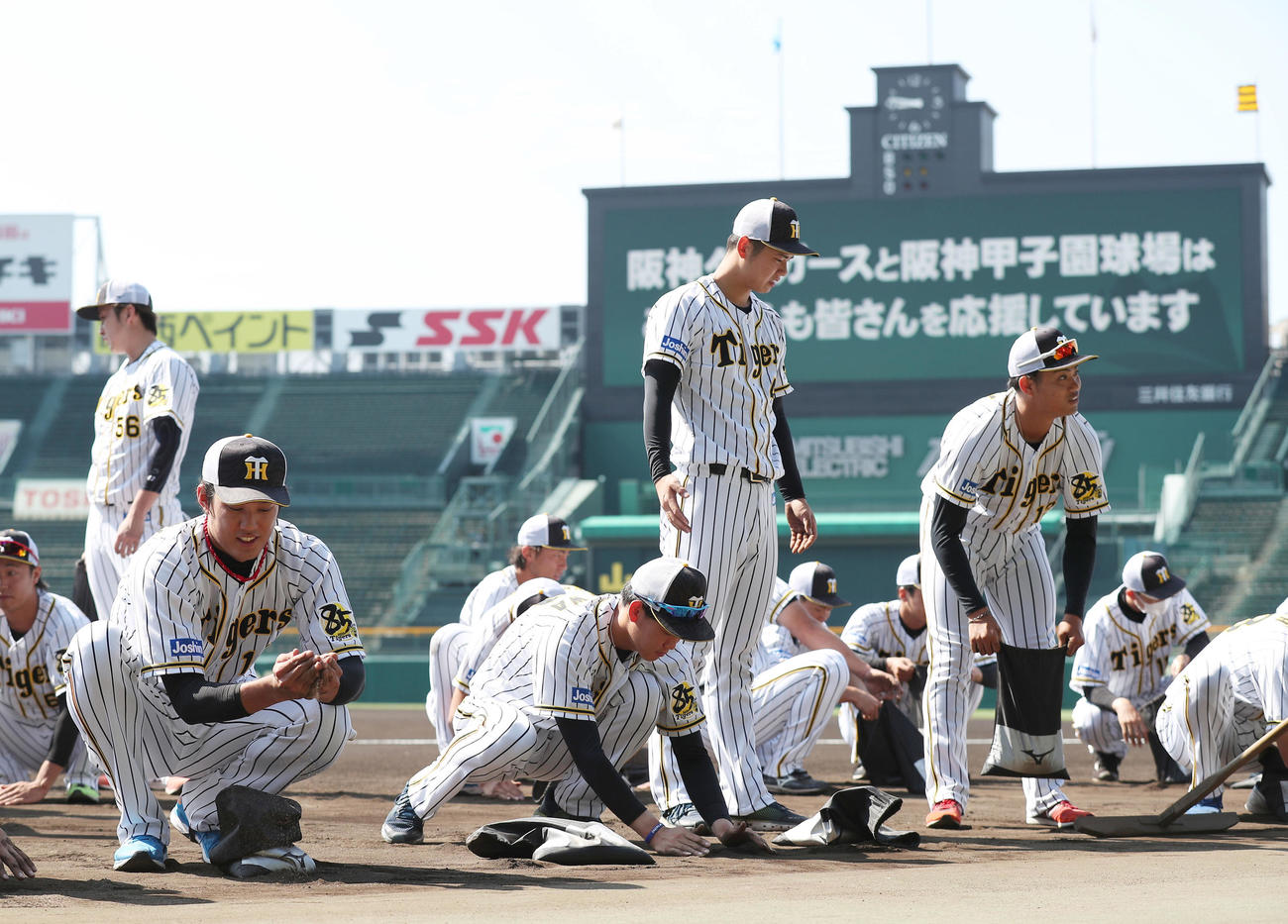 甲子園の土を集める藤浪（左端）ら阪神2軍の選手たち（撮影・前田充）