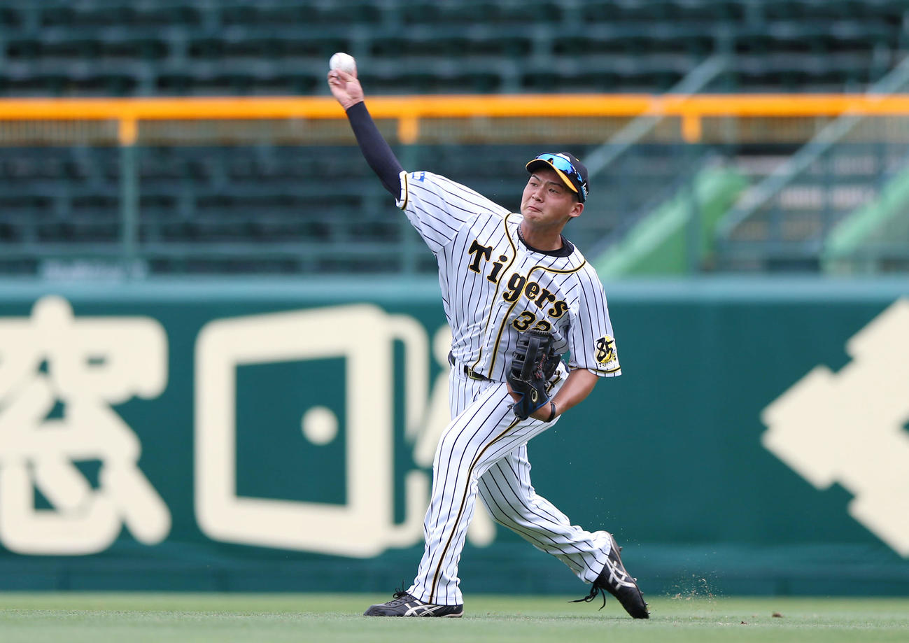 ウエスタン・リーグ阪神対オリックス　2回表オリックス1死三塁、右翼手井上広大は白崎浩之の右飛を捕球し、三走宗佑磨をホームで刺す（撮影・上山淳一）