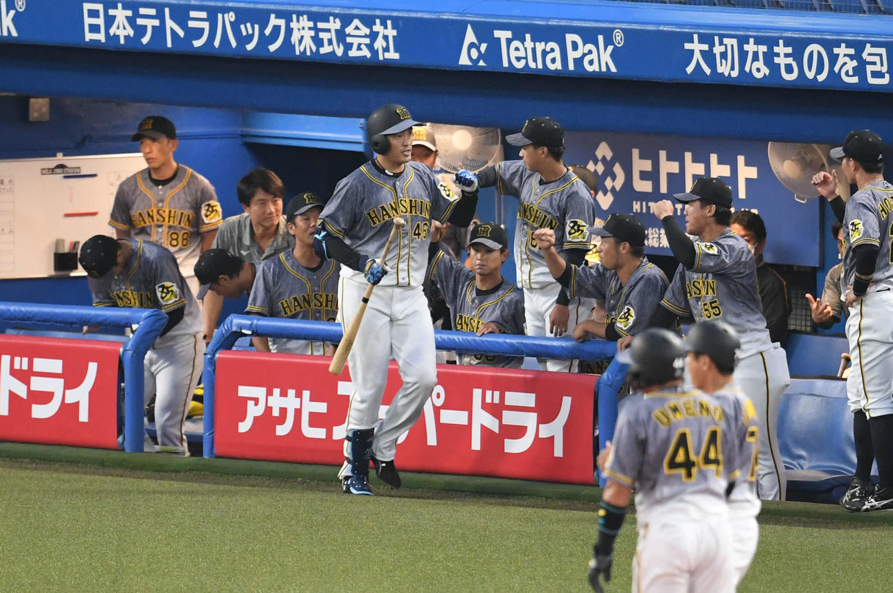 ヤクルト対阪神　3回表阪神無死一塁、犠打を決めた秋山（中央）はチームメートとエアタッチ（撮影・山崎安昭）
