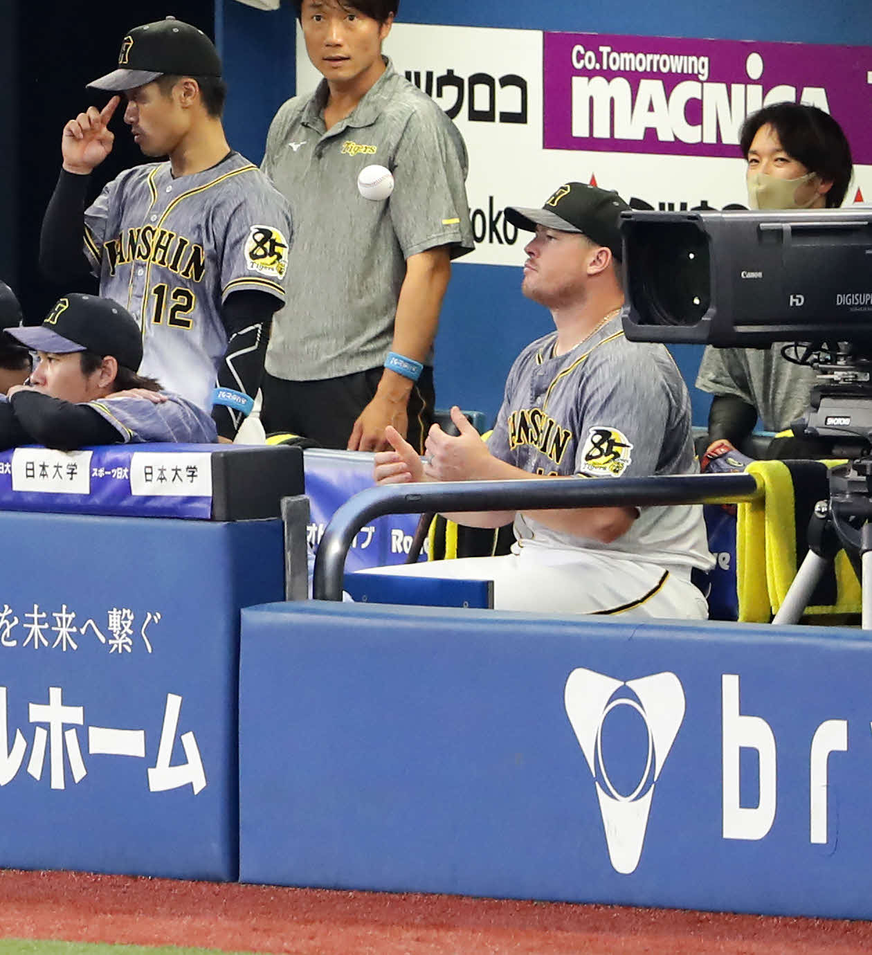 DeNA対阪神　先発を外れた阪神ボーア（右）は悔しげにボールで手遊び（撮影・浅見桂子）