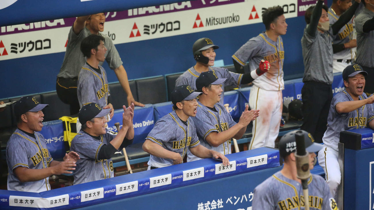 DeNA対阪神　1回表阪神1死三塁、ボーアの適時打に喜ぶ矢野監督ら阪神ベンチ（撮影・丹羽敏通）