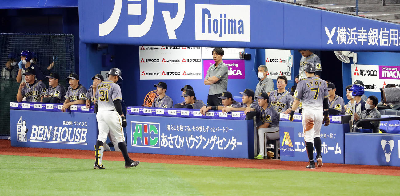 DeNA対阪神　9回表阪神無死一塁、マルテ（手前左）が併殺に倒れ、ベンチで厳しい表情の矢野監督（左から3人目）ら（撮影・浅見桂子）
