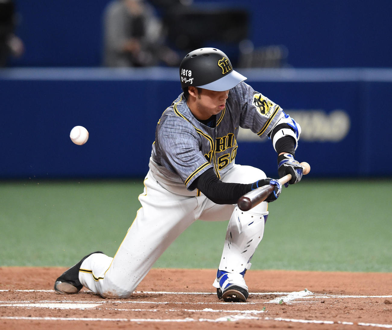 中日対阪神　3回表阪神無死二塁、バント失敗し三振に倒れる青柳（撮影・森本幸一）