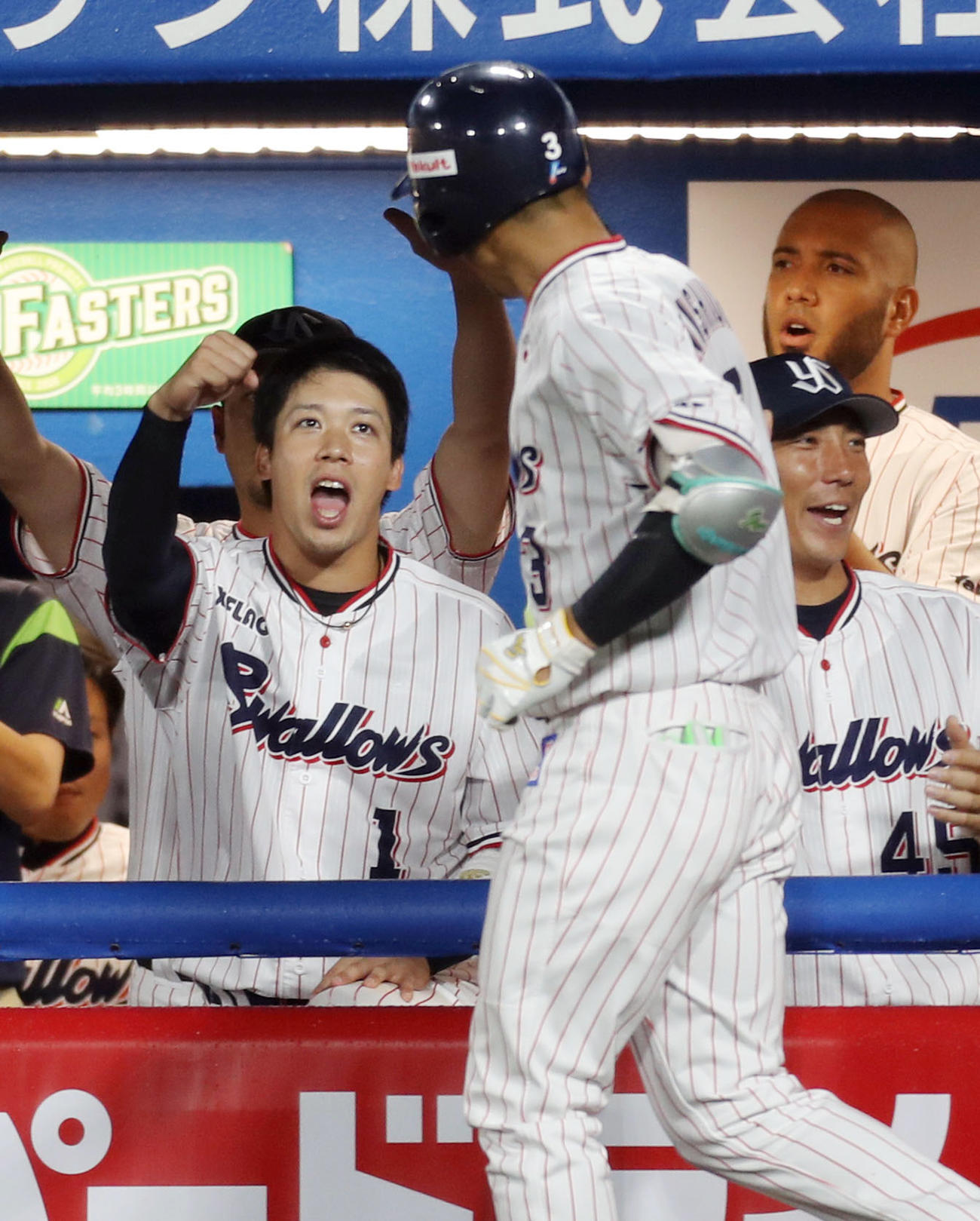 ヤクルト対広島　4回裏ヤクルト無死一塁、2点本塁打を放った西浦（手前）をガッツポーズで迎える山田哲（撮影・狩俣裕三）